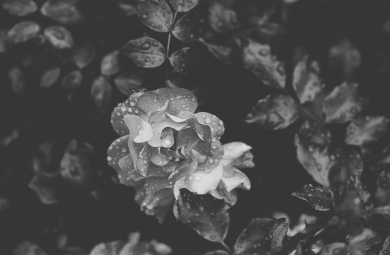 Luxurious floral arrangement showcasing our design philosophy