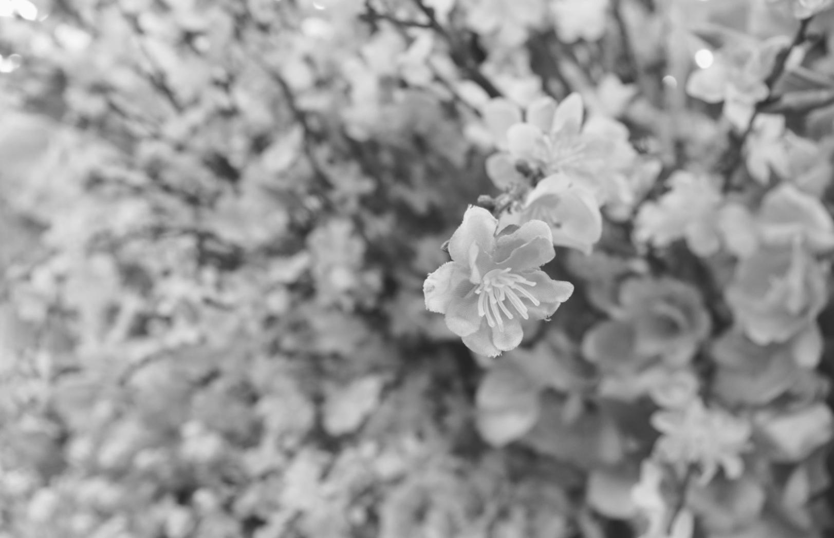 Interior flower design consultation session showing collaborative planning process