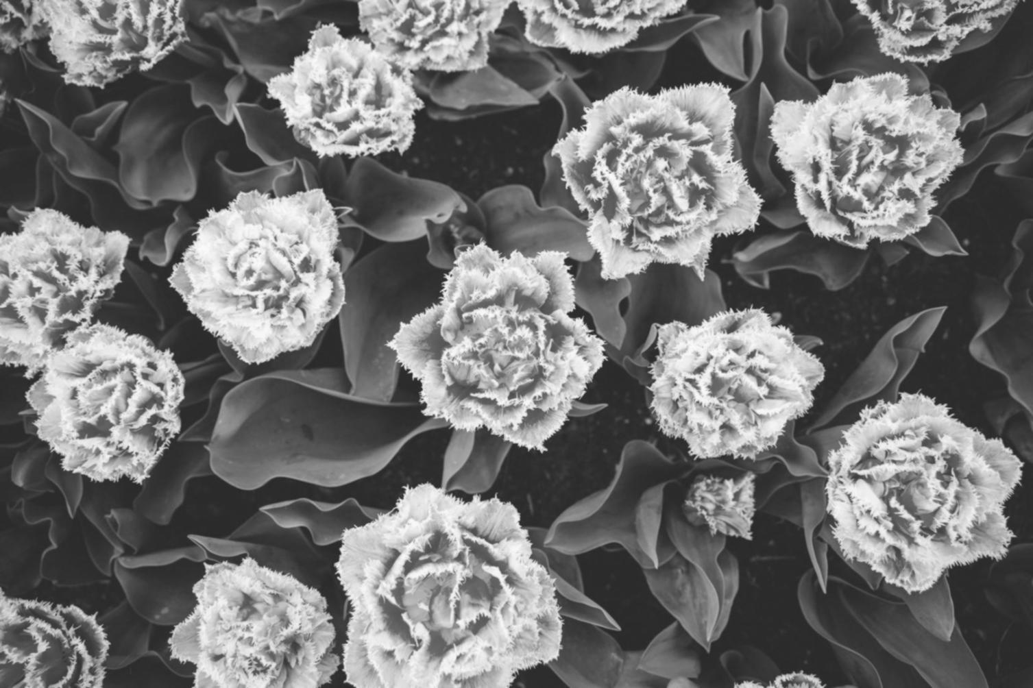 Interior flower design process showing elegant floral arrangements in modern commercial space